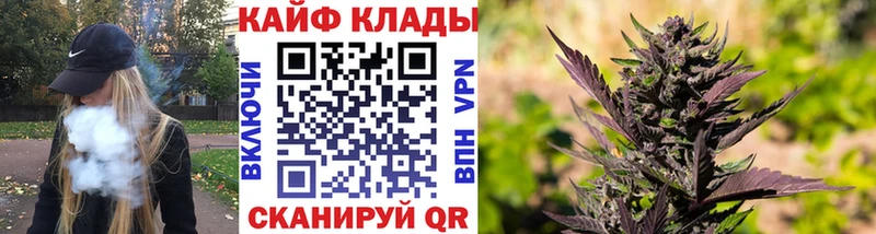 Где купить наркотики Североморск A PVP  Кокаин  Гашиш  Канабис 