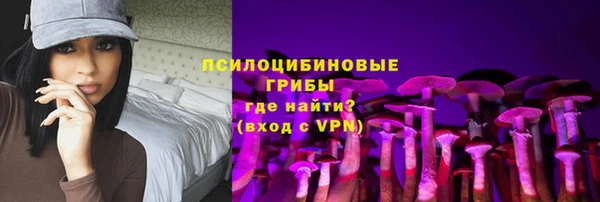 PSILOCYBIN Медногорск