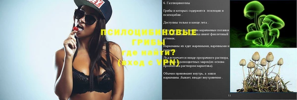 дживик Медвежьегорск