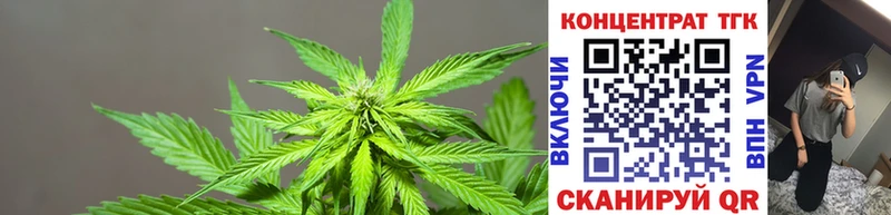 ТГК THC oil  где продают наркотики  hydra сайт  Североморск 