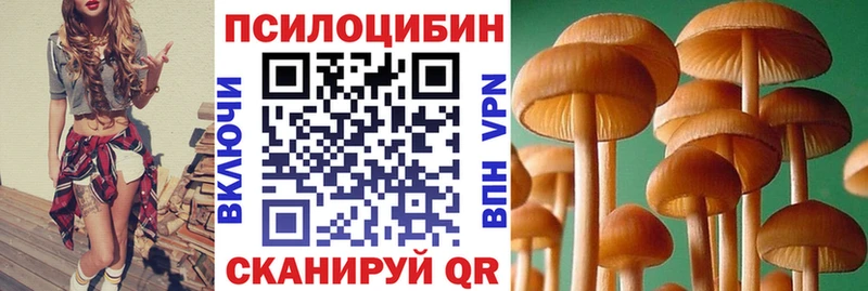 Галлюциногенные грибы GOLDEN TEACHER  где продают   Североморск 
